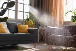 How to Choose the Best Natural Scents for Your Home