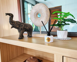 natural home diffuser at home