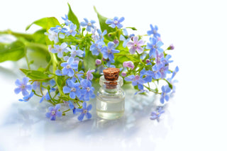 Essential oils vs synthetic fragrances blog post.