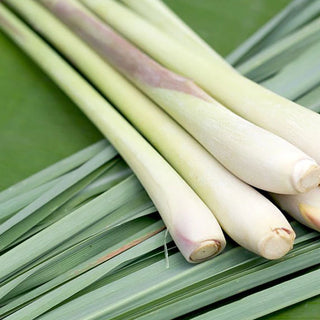Lemongrass scent to boost wellbeing.