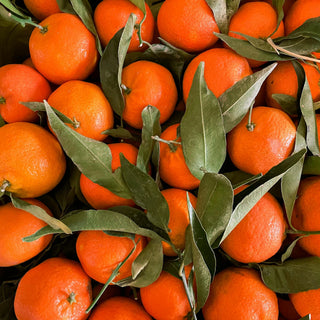 Sweet orange scent.