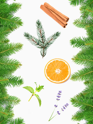 CHRISTMAS SPICE REED DIFFUSER