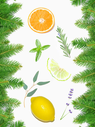 WINTER REVERIE REED DIFFUSER